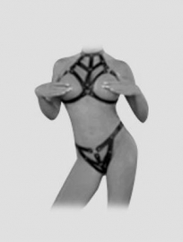 Harness