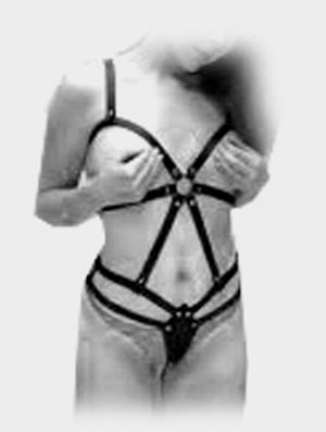 Harness