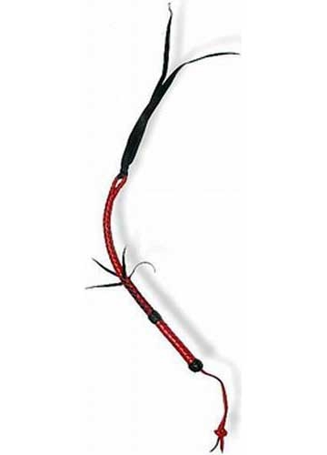 Single Tail Whip