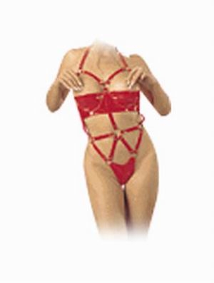 Harness