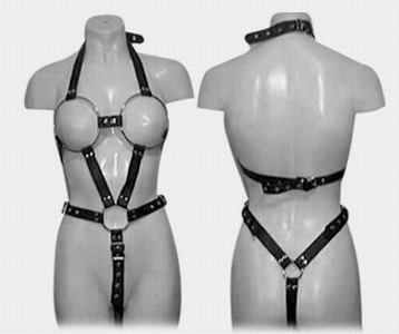 Harness