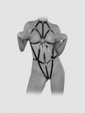 Harness