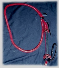 Single Tail Whip