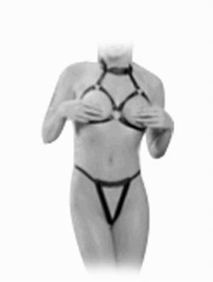 Harness