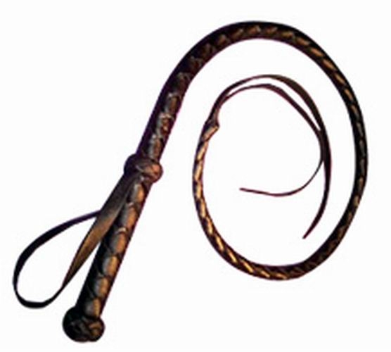 Single Tail Whip