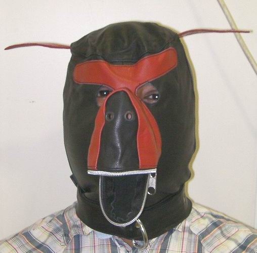 Bondage Hoods