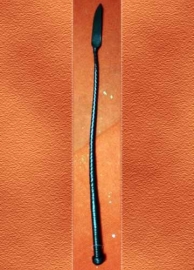 Single Tail Whip