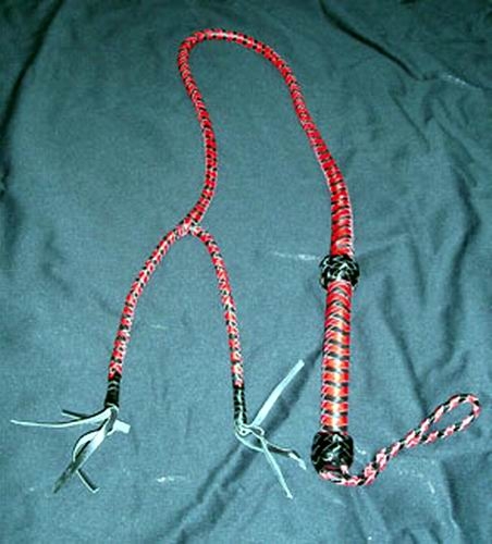 Single Tail Whip