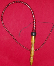 Single Tail Whip
