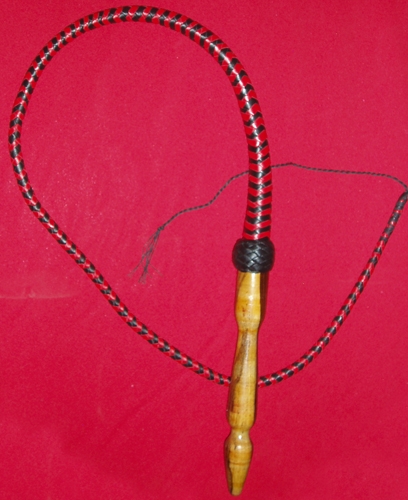 Single Tail Whip