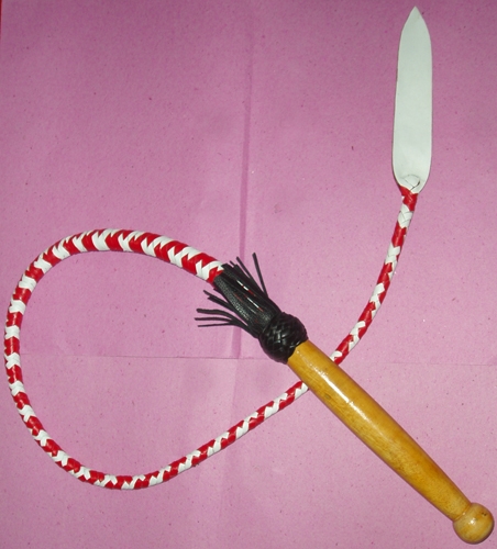 Single Tail Whip