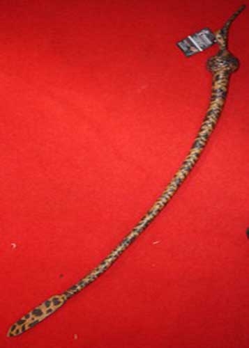 Single Tail Whip