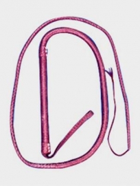 Single Tail Whip