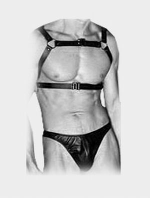 Harness