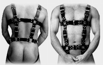 Harness